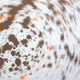 Image for article titled Motion Gallery 2